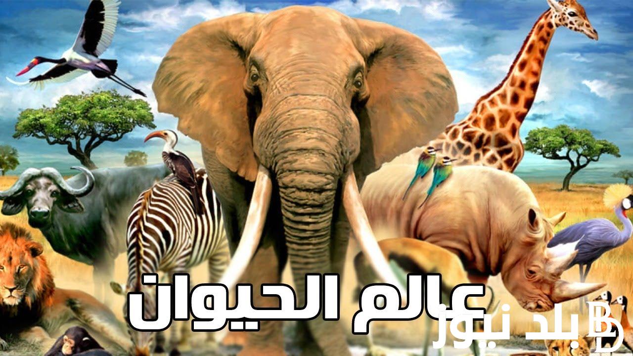 “ثبتها حالاً” تردد قناة ناشيونال جيوغرافيك 2024 لمتابعة أفضل برامج الحيوان على النايل سات والعرب سات بجودة hd