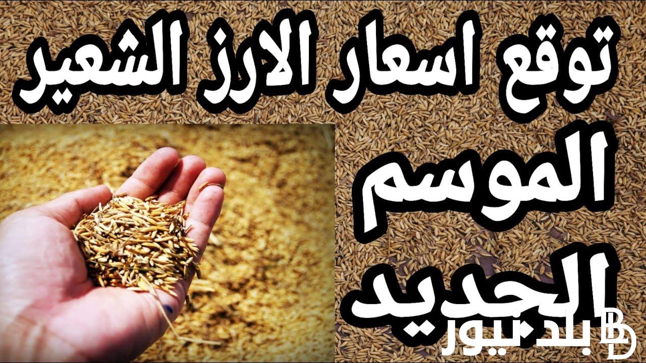 “اشتري وخزن” سعر طن الأرز الشعير اليوم الأثنين 2 سبتمبر 2024 للمستهلك في مصر