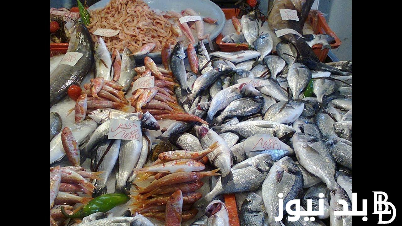 اسعار السمك اليوم الاثنين 9 سبتمبر 2024 في مصر بجميع الاسواق والمزارع السمكية وفقًا لبوابة الأسعار التابعة لمجلس الوزراء