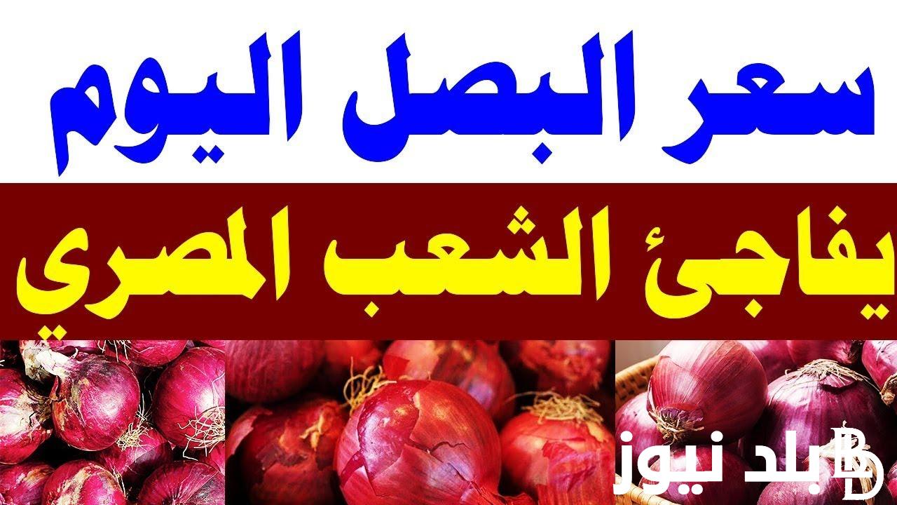 اسعار البصل اليوم في مصر | أسعار الخضروات والفاكهة بمصر اليوم الخميس 12/9/2024 بسوق العبور