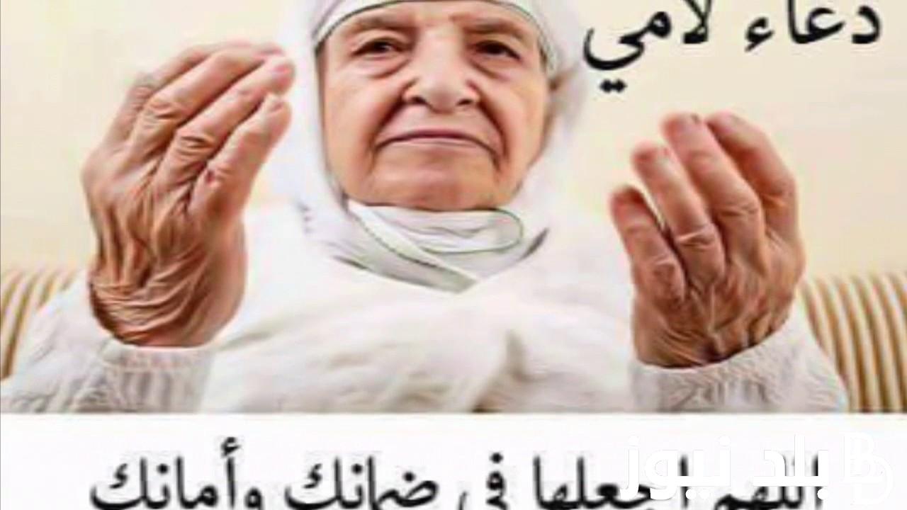 ردد الآن.. دعاء لامي المتوفية في أي وقت “اللهم إني أسألك أن ترحم أمي وأمهات المسلمين وأن تجعل قبورهم روضة من رياض الجنة يتنعمون فيها”