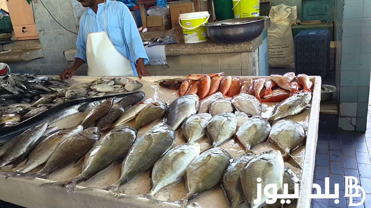 “السمك والجمبري وصلوا كام” تراجع ملحوظ في أسعار السمك اليوم الأحد 1 سبتمبر 2024 في الأسواق