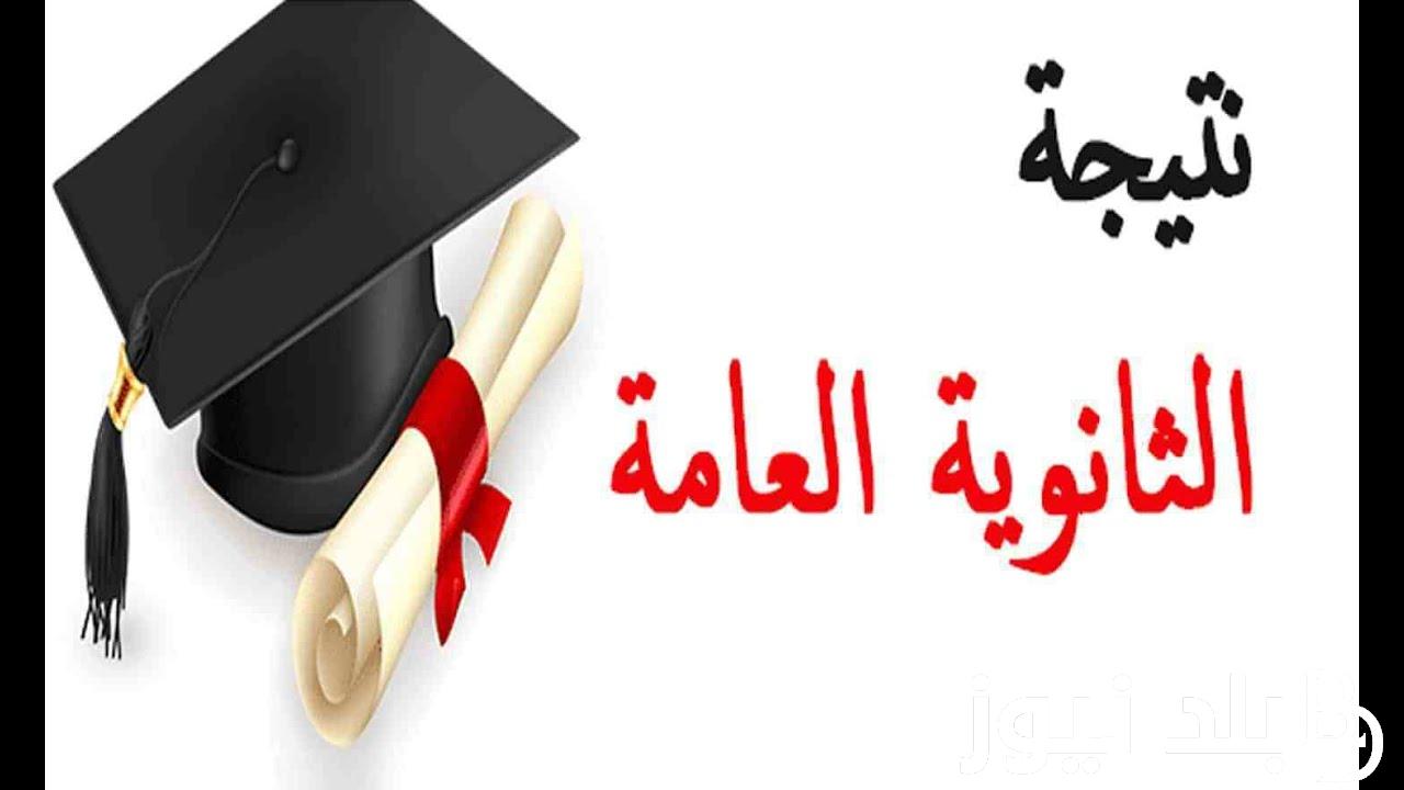 “ترقبوا” نتيجة ملاحق الثانوية العامة 2024 وخطوات الاستعلام عنها عبر tansik.digital.gov.eg