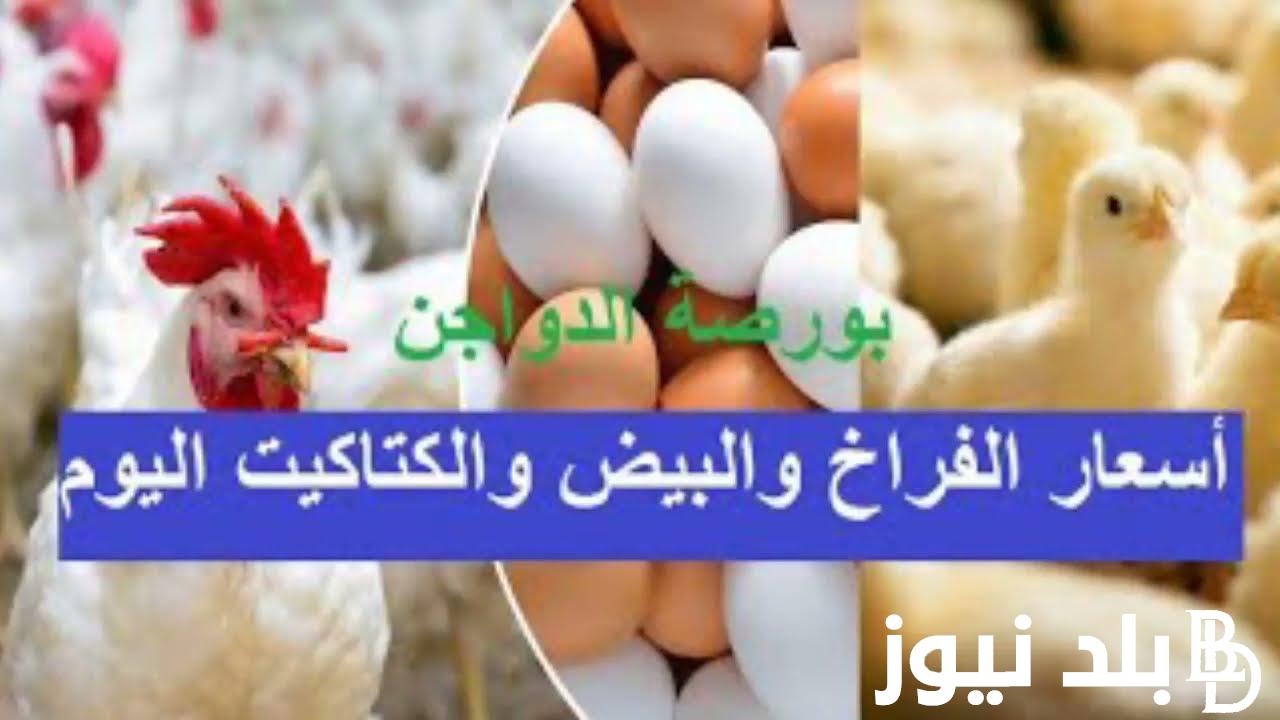 البيضة ب 6 جنيه .. بورصة الدواجن اليوم الفراخ البيضاء الاربعاء 11 سبتمبر 2024 داخل الاسواق للمستهلك المحلي