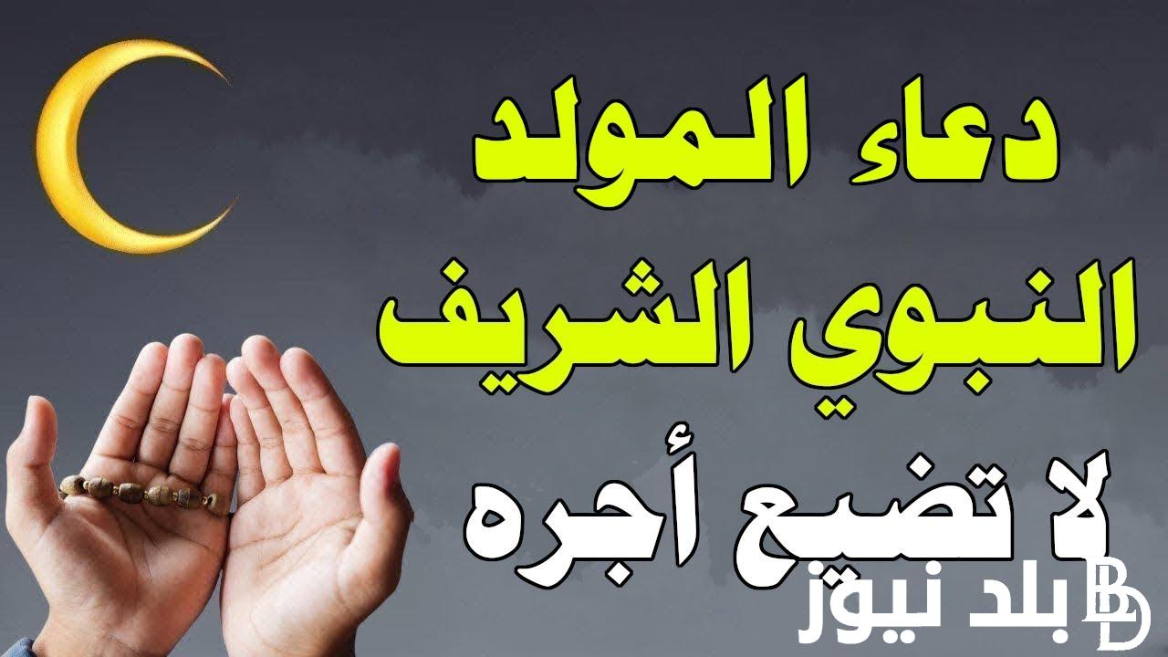 “نهنئكم بمولد النور الذي أضاء العالم بأخلاقه وتعاليمه” دعاء المولد النبوي الشريف واجمل عبارات تهنئة المولد النبوي
