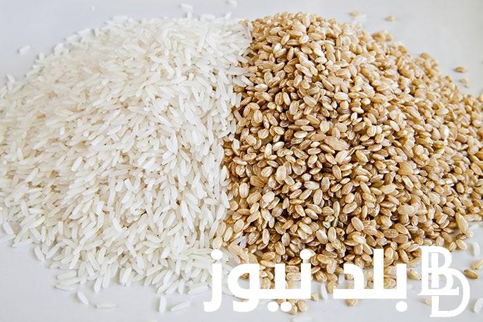 “رفيع وعريض الحبة ” سعر طن الارز الشعير اليوم الاربعاء الموافق 2024/9/25 للمستهلك في المحلات التجارية