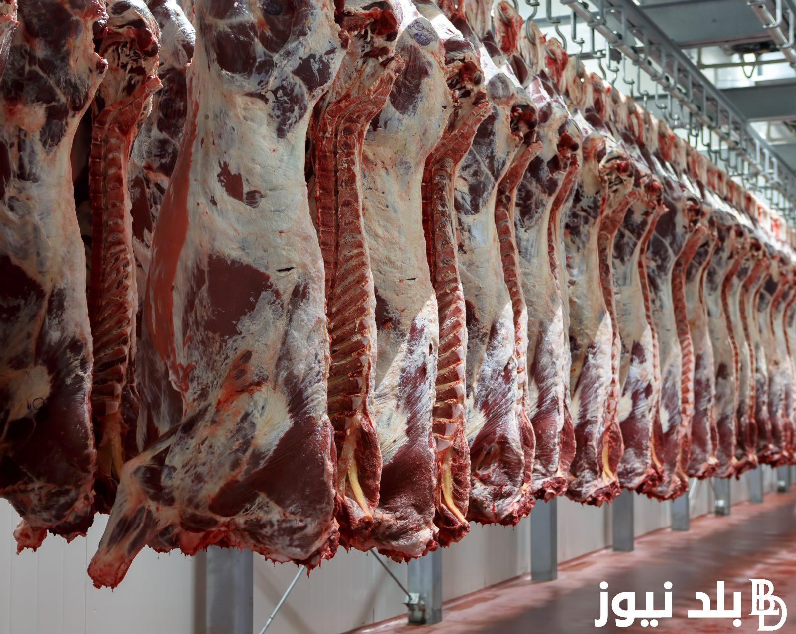 سعر كيلو اللحمة في مصر اليوم الاثنين 9 سبتمبر 2024 بجميع محلات الجزارة ومنافذ الحكومة للمستهلك