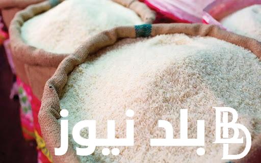 “الحقي اشتري وخزني براحتك” سعر طن الأرز الشعير اليوم الخميس 5 سبتمبر 2024 للمستهلك بالاسواق المحلية