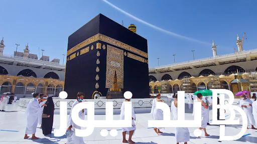 تعرف على ضوابط العمرة 1446 وأهميتها على المعتمرين وشركات السياحة.. وزارة السياحة تعلن
