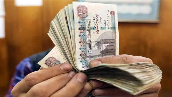 “nosi.gov.eg” كيفية الاستعلام عن معاشات سبتمبر 2024 من خلال بوابة التأمينات الاجتماعية الإلكترونية