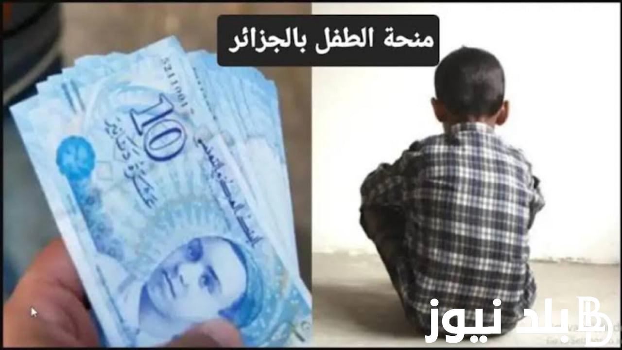 “msnfcf.gov.dz” منحة الطفل بالجزائر من خلال موقع وزارة التضامن الاجتماعي الوطني وشروط التسجيل في منحة الطفل بالجزائر 2024