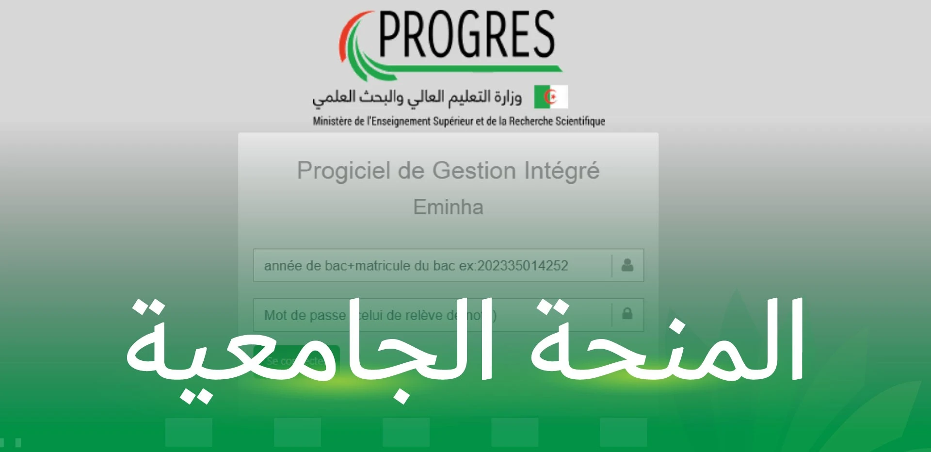 “سجل دلوقتى” التسجيل في المنحة الجامعية في الجزائر من خلال الموقع الرسمي لوزارة التعليم العالي