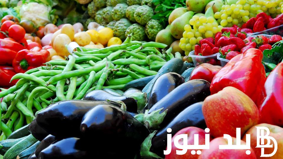 أسعار الخضروات اليوم الثلاثاء الموافق 17 سبتمبر 2024 فى السوق المحلي المصرى للمستهلكين