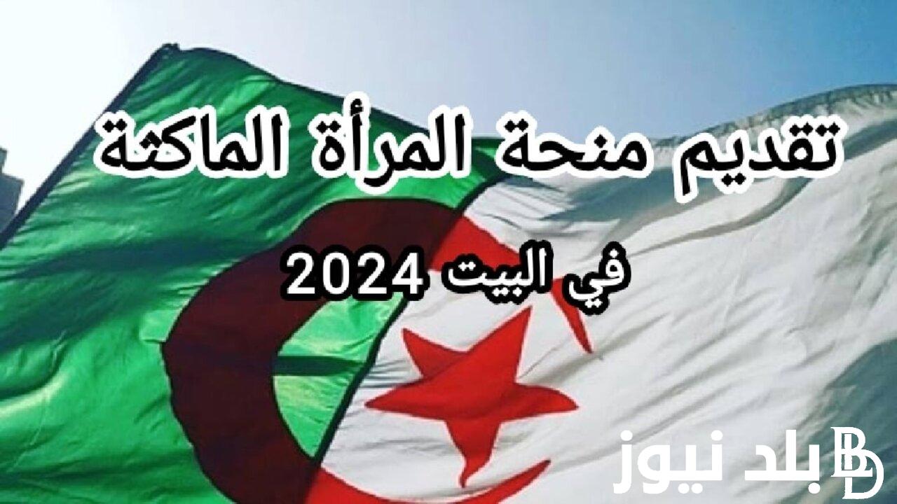 وزارة العمل والتشغيل تُوضح.. الزيادة في منحة المرأة الماكثة 2024 وأهم الشروط والمستندات المطلوبة للتقديم