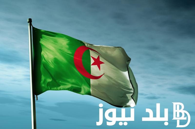 حقيقة زيادة منحة البطالة في الجزائر 2024 .. خطوات الاستعلام عن المنحة عبر anem.dz