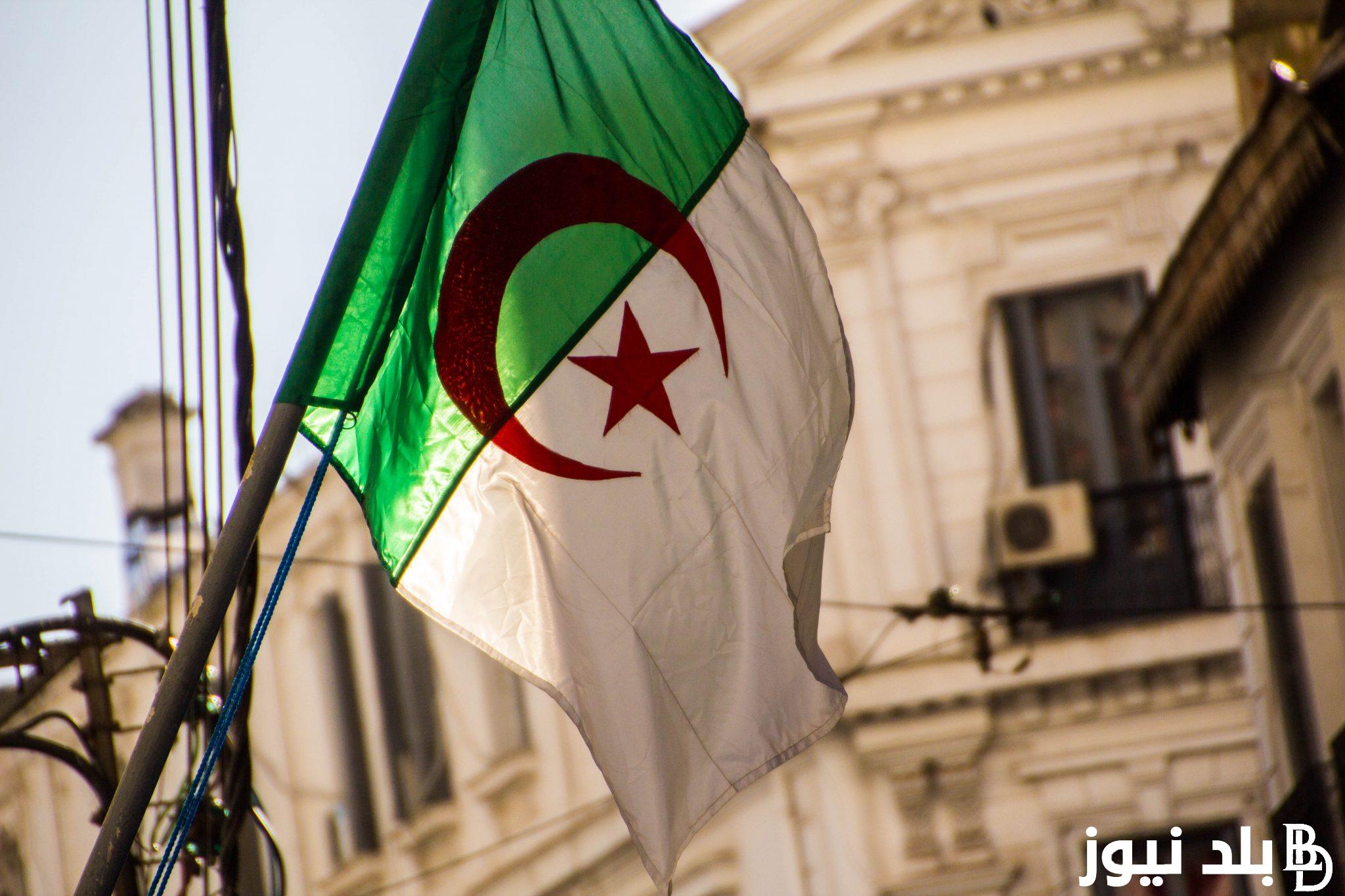 خطوات التسجيل في منحة البطالة بالجزائر 2024 من خلال anem.dz .. وأهم شروط القبول في منحة البطالة