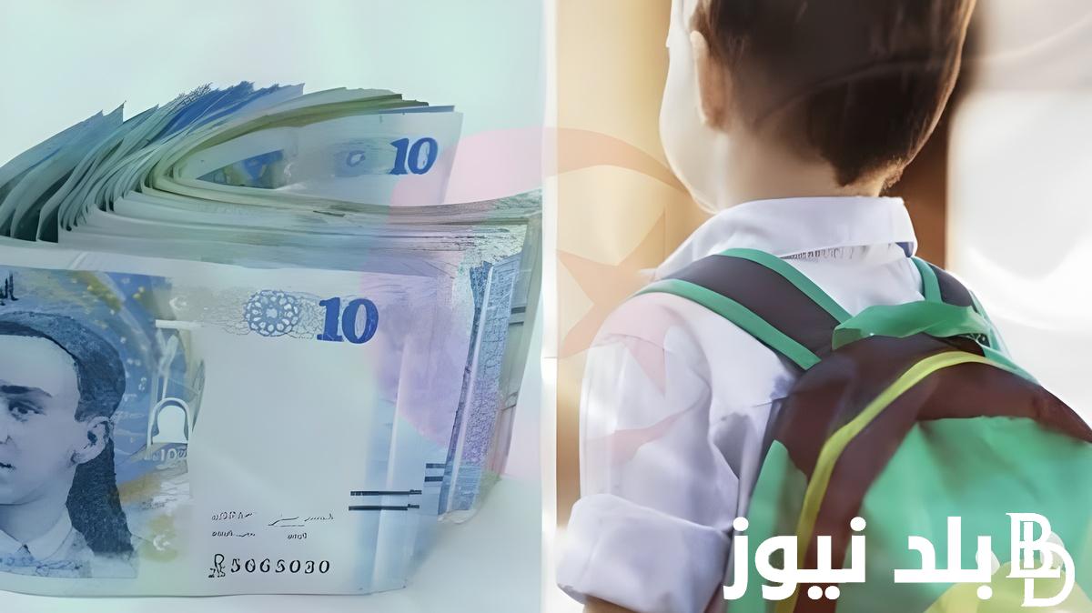 “سجل من هنا” كيفية التقديم على منحة الطفل بالجزائر 2024 وشروط التسجيل في منحة الطفل بالجزائر