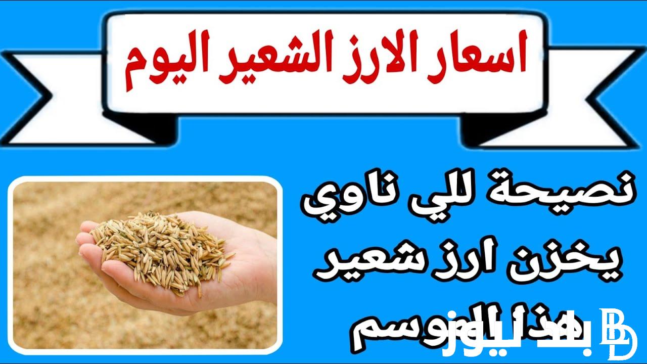 سعر طن الأرز الشعير اليوم الاحد 8 سبتمبر 2024 بالحبة الرفيعة والعريضة في الاسواق المحلية