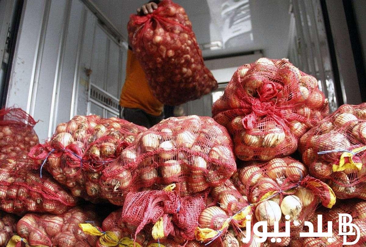 اسعار البصل اليوم الاثنين الموافق 30 سبتمبر 2024 في جميع الاسواق المصرية لجميع المستهلكين