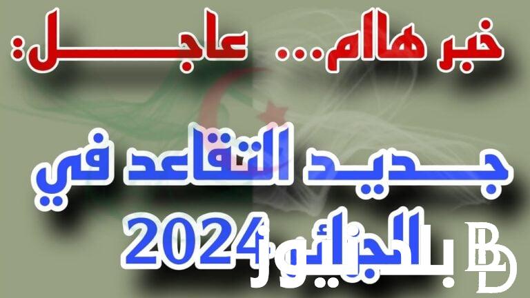 وزارة المالية الجزائرية توضح.. سن التقاعد الجديد للنساء بالجزائر وطريقة الاستعلام عن رواتب المتقاعدين بالجزائر ٢٠٢٤ عبر mf.gov.dz