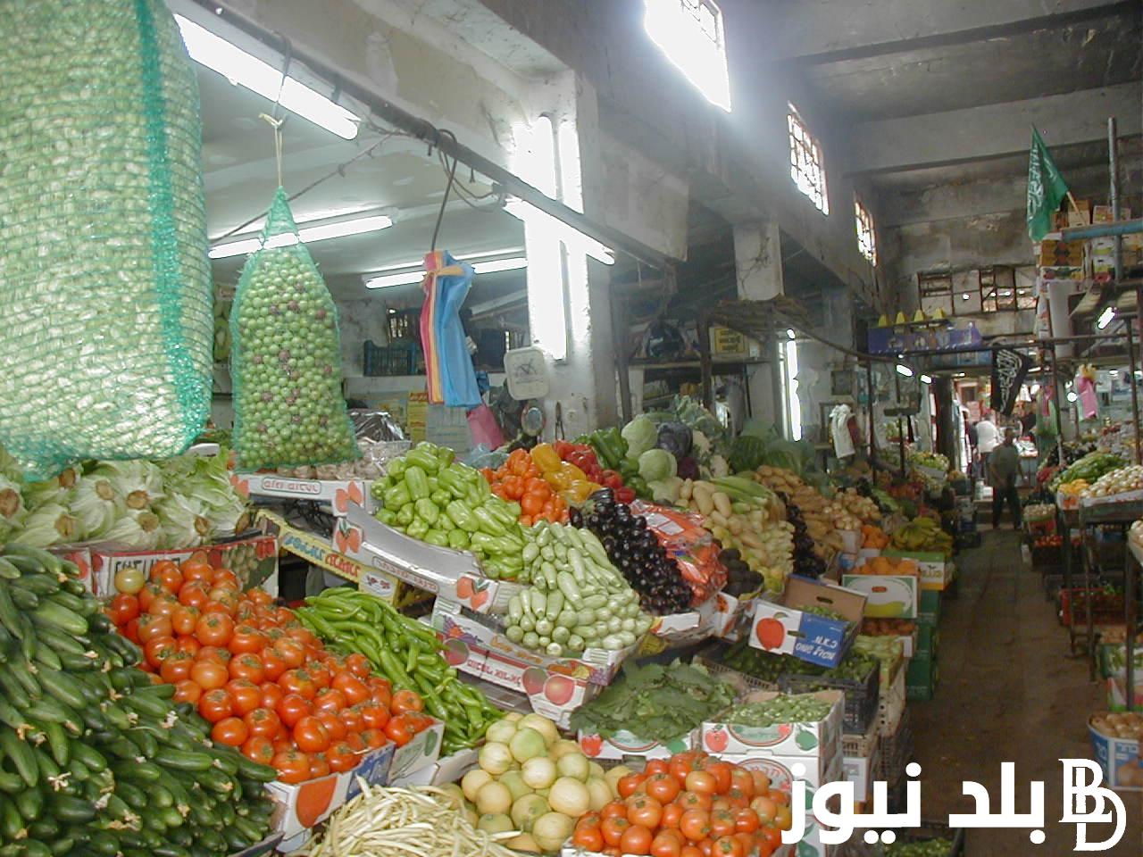 الطماطم ب15.. أسعار الخضار اليوم الأربعاء الموافق 4 سبتمبر 2024 في كافة الأسواق المصرية للمستهلك