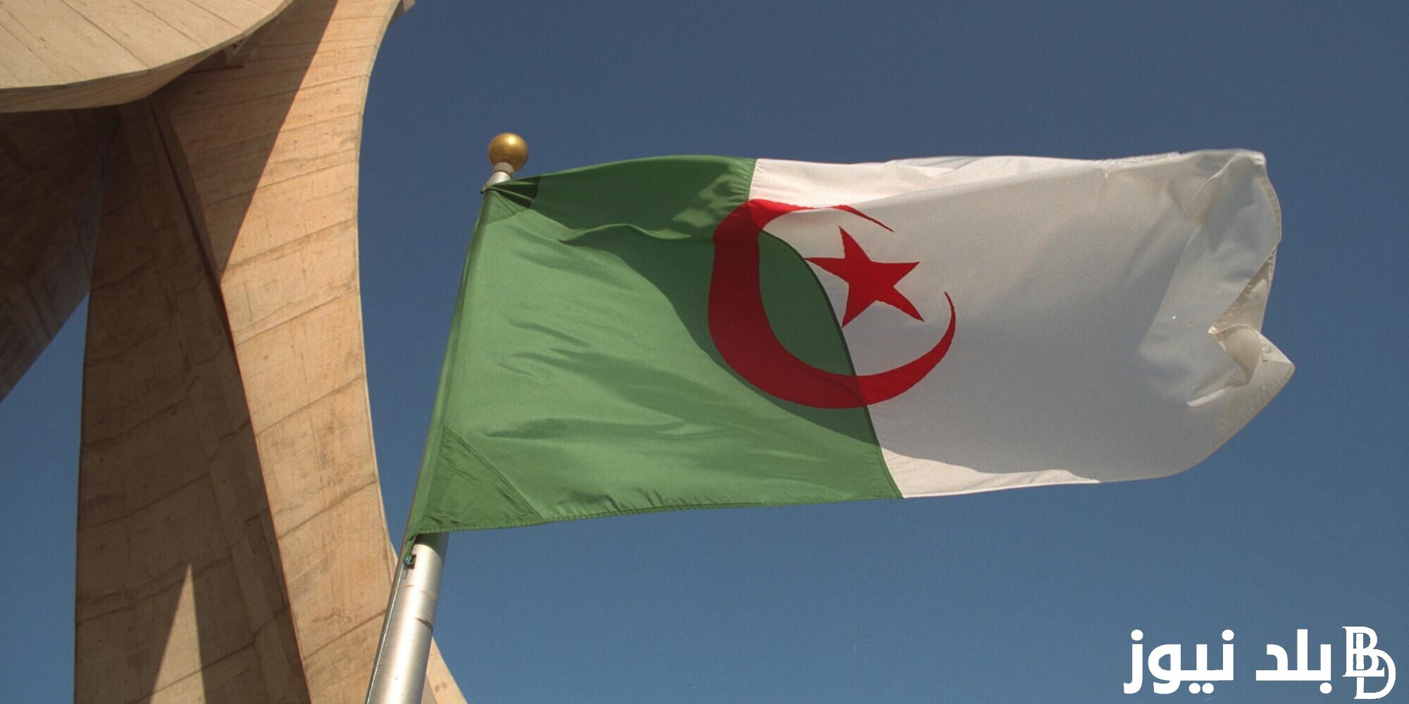 تعرف على تفاصيل منحة البطالة في الجزائر لعام 2024 .. خطوات التسجيل وشروط القبول في المنحة عبر anem.dz