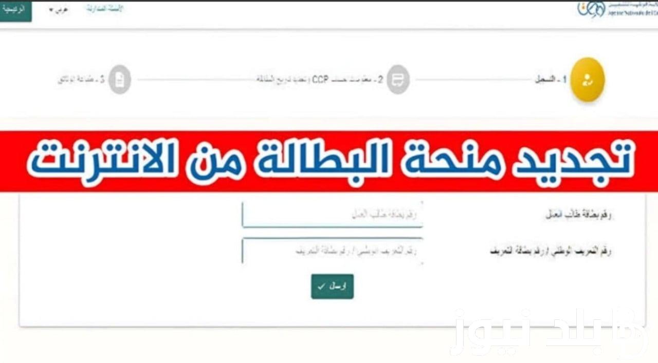 اعرف.. رابط تجديد منحة البطاله بالجزائر من خلال الموقع الرسمي للوكالة الوطنية للتشغيل anem.dz