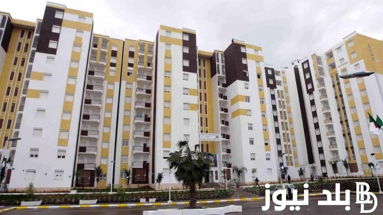 نتائج سكنات عدل 3 2024 تعرف علي أهم الشروط المطلوبة وللتقديم عبر aadl.com.dz