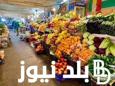 الطماطم والكوسة بكاااام ؟ أسعار الخضروات في سوق العبور اليوم الثلاثاء 1 اكتوبر 2024 بعد الانخفاض الاخير لها