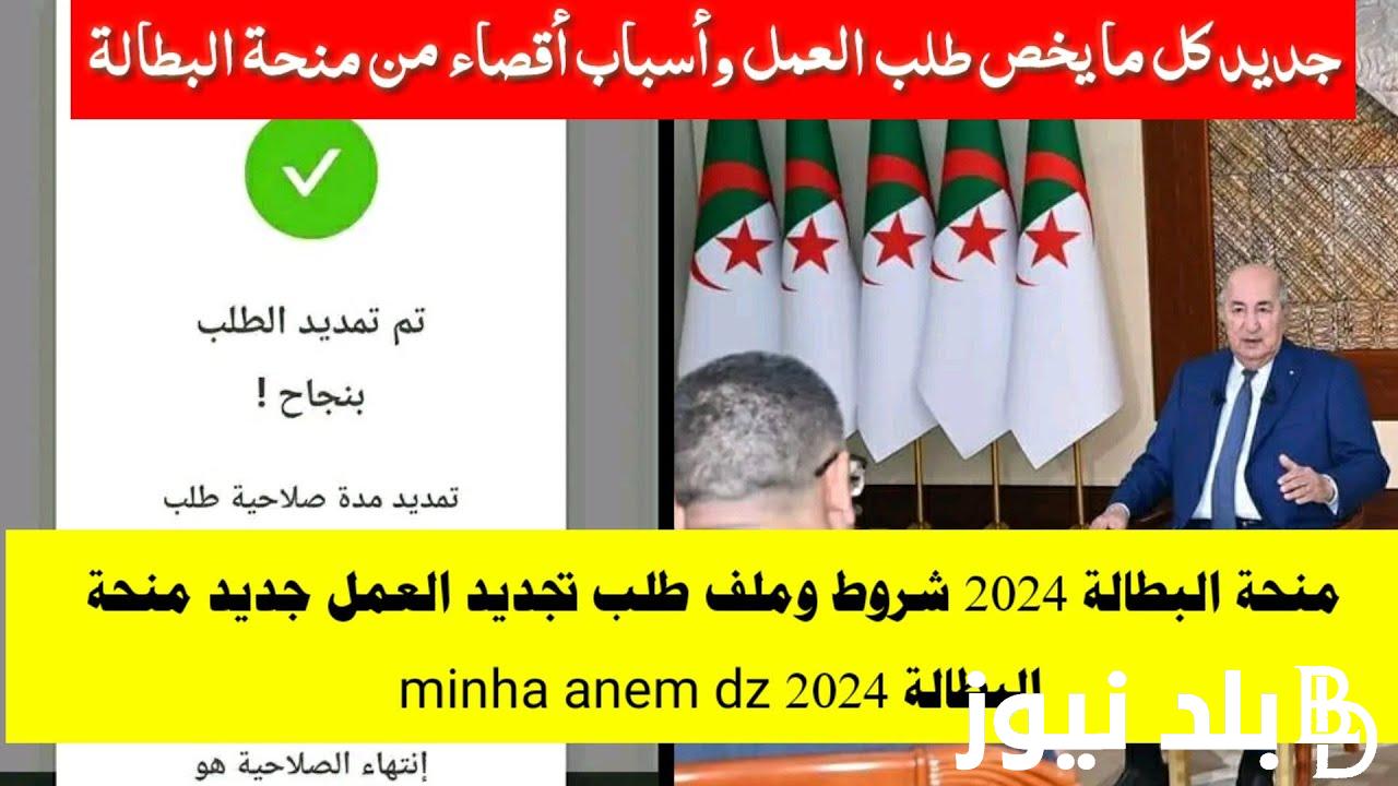 رابط التسجيل في منحة البطالة 2024 في الجزائر www.anem.dz والشروط والاوراق المطلوبة