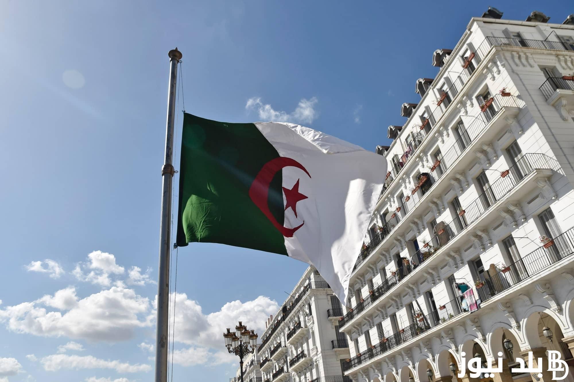 خطوات التقديم على منحة البطالة في الجزائر 2024 عبر anem.dz .. كيف تدعم الوكالة الوطنية للتشغيل الشباب العاطلين؟