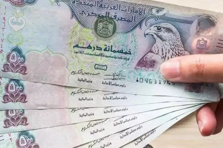 منها الدرهم الإماراتي والدينار الكويتي.. ارتفاع أسعار 6 عملات عربية أمام الجنيه اليوم الأحد