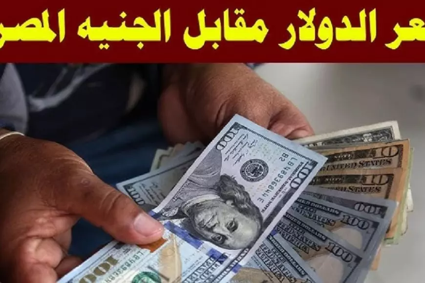 سعر الدولار في السوق السوداء اليوم الاحد 19 يناير 2025 أسعار الدولار في البنوك المصرية