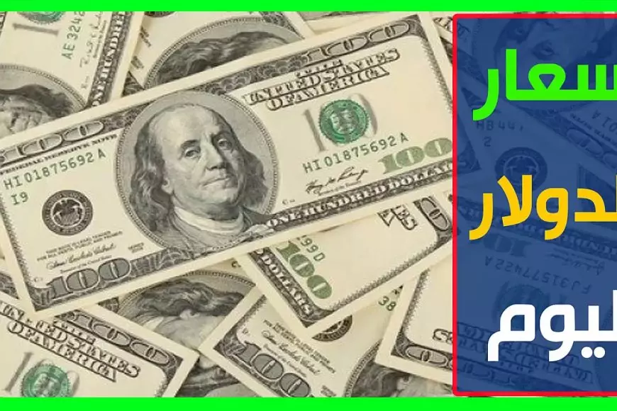 كم سعر 100 دولار في السوق السوداء الآن.. سعر الدولار اليوم الاحد 26 يناير في بداية افتتاح البنوك المصرية