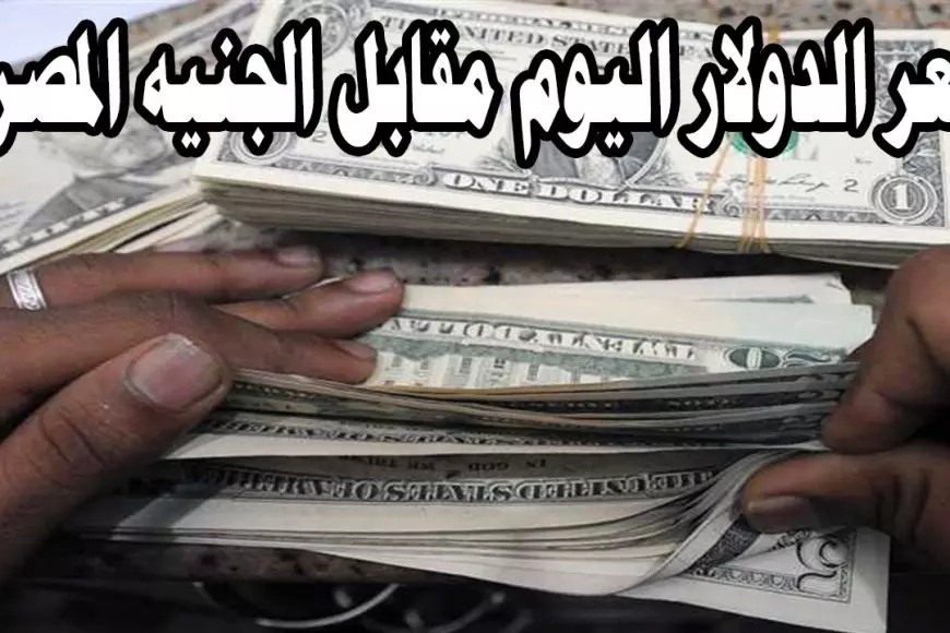 كم سعر 100 دولار الآن.. سعر الدولار اليوم مقابل الجنيه المصري في السوق السوداء والبنوك السبت 25 يناير 2025