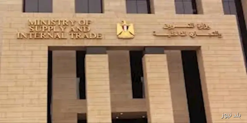 أبرز 4 فئات جار حذفها من بطاقات التموين – تفاصيل