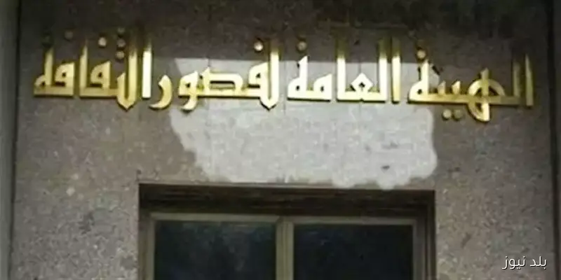 افتتاحية ثقافية: قصور الثقافة تنظم قوافل لنشر الفنون وتعزيز الوعي في قرى العامرية الثلاثاء