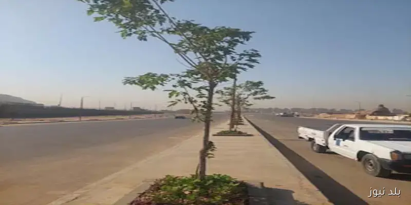 التنمية المحلية: انطلاق زراعة محور صلاح سالم الجديد