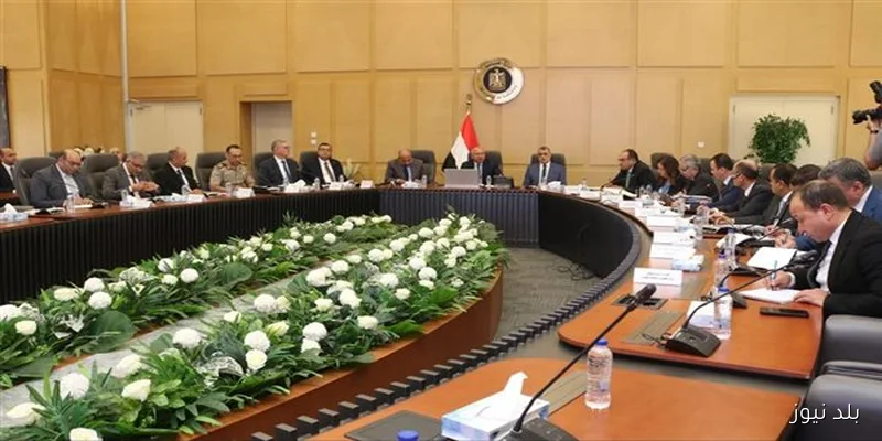 المجلس الأعلى للطاقة يبحث تعزيز توفير الكهرباء والغاز للمشروعات الصناعية الاستراتيجية برئاسة وزير الكهرباء