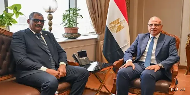 بحث وزير الري ونظيره السوداني سبل التعاون المشترك وقضايا النيل