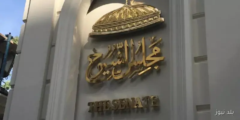 برلماني: “مراسي البحر الأحمر” تعزز المنطقة كوجهة سياحية عالمية