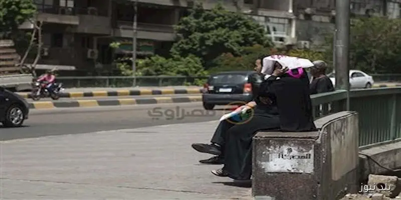 توقعات الأرصاد: القاهرة 33 درجة.. تفاصيل طقس الأحد بدرجات الحرارة