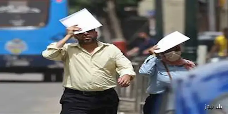 توقعات الأرصاد: شبورة صباحية وارتفاع الأمواج بالسواحل لطقس يوم الاثنين
