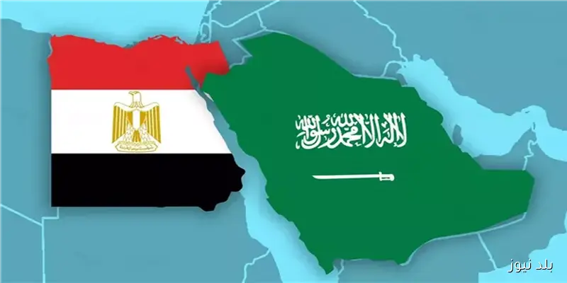 حجم التجارة بين مصر والسعودية يصل إلى 5.9 مليار دولار في النصف الأول من 2025 وفقًا للغرف التجارية