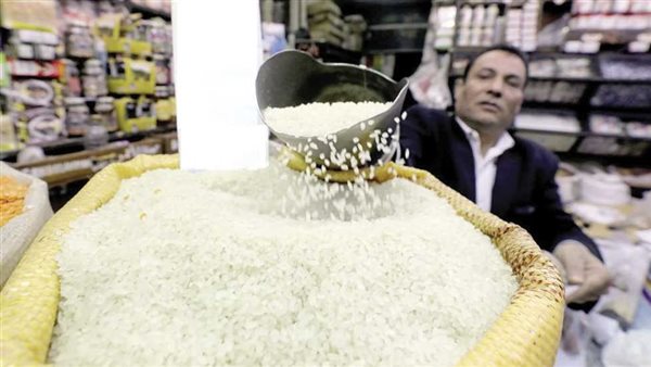 رجب شحاتة يؤكد أن الأرز ليس سلعة مضاربة مثل الذهب وأن انخفاض الأسعار يؤثر سلباً على المزارعين