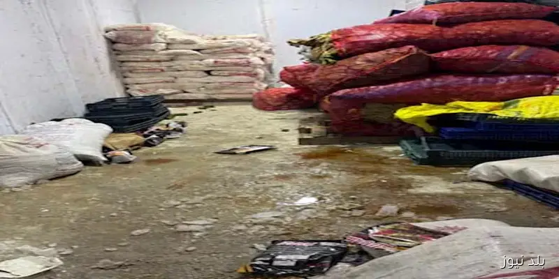 ضبط 3 أطنان من البرجر والسجق والكفتة غير الصالحة للاستهلاك الآدمي في الهرم – تفاصيل مثيرة