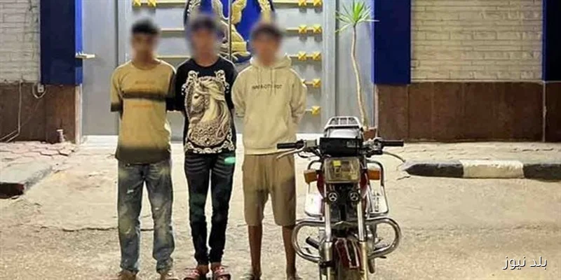 ضبط 3 طلاب بتهمة الاعتداء على فتاة أثناء سيرها في المنوفية