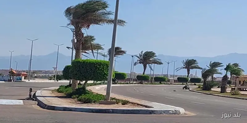 طقس الـ6 أيام: شديد الحرارة ورطوبة مرتفعة.. الأرصاد تكشف التفاصيل