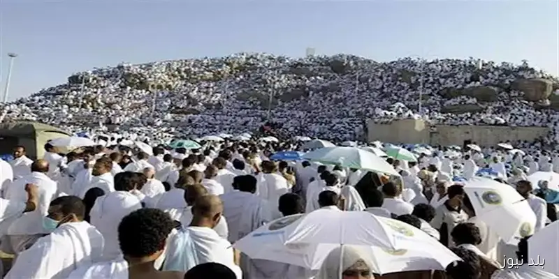 عضو شركات السياحة: إجراءات الحج تُقدم خلال شهرين مع تنظيم محكوم برقابة صارمة