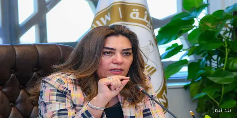 قرار جديد من البيئة لتنظيم صيد الطيور البرية في عدد من المحافظات